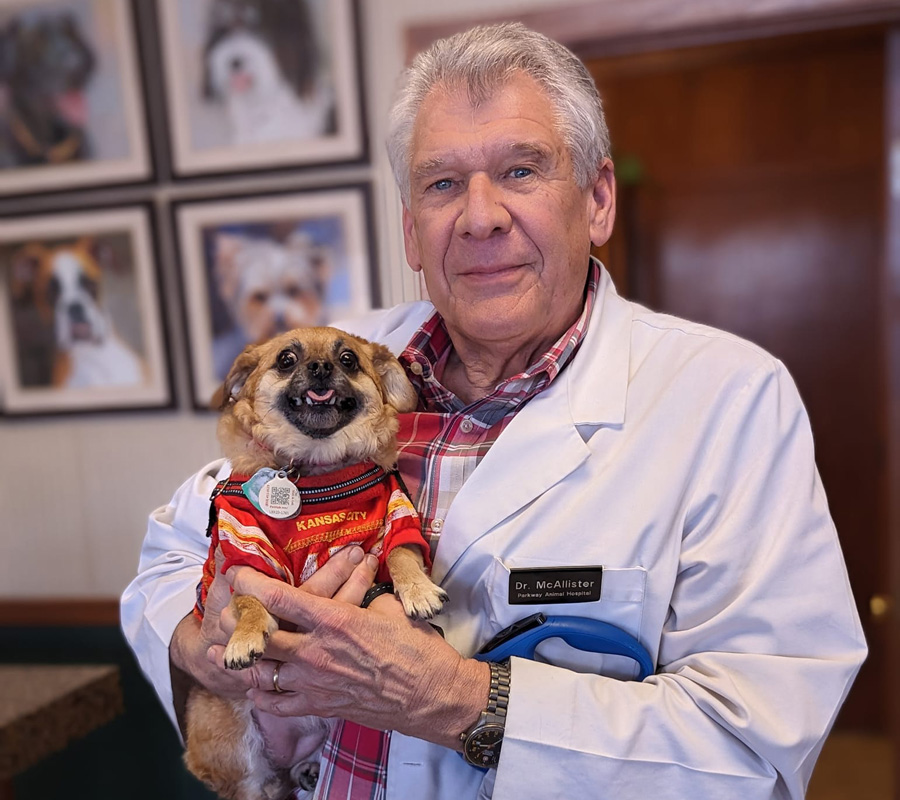 Mililani Pet Clinic: The Ultimate Gateway to Your Pet's Wellness